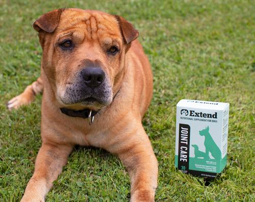 Joint Care Nutritional Dog Supplements, 30 count