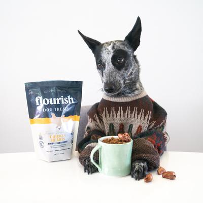 Chicken Hearts Freeze-Dried Dog Treats, 2-oz bag