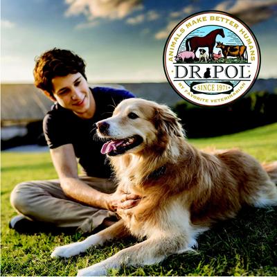 Adult Limited Ingredient Surf-N-Turf Pate Canned Wet Dog Food, 12.5-oz can, case of 12