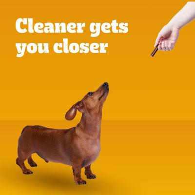 Dentastix Beef Mini Dental Dog Treats, 24 count