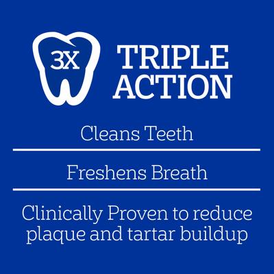 Dentastix Beef Mini Dental Dog Treats, 24 count