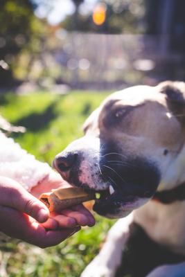 Mini Chicken Wraps Dog Treats, 6 count