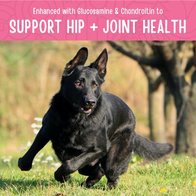 Hip & Joint Health Chicken Jerky Human-Grade Dog Treats, 12-oz bag