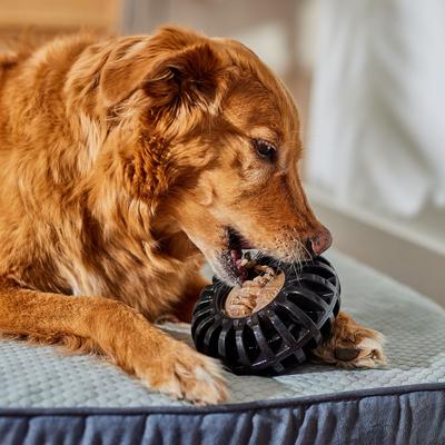 Everlasting Chicken Flavored Dental Dog Treats, Large, 2 count