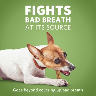 ActivFresh Daily Oral Care Mini Dental Dog Treats, 90 count