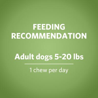 ActivFresh Daily Oral Care Mini Dental Dog Treats, 90 count