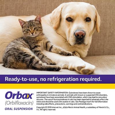 (orbifloxacin) Oral Suspension for Dogs & Cats, 30 mg/mL, 20-mL