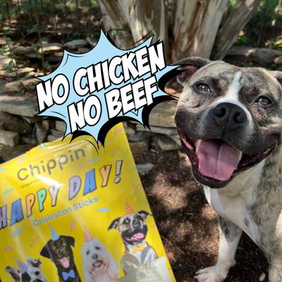 Birthday Celebration Adult Fish & Pumpkin Grain-Free Soft Jerky Dog Treats, 5-oz bag