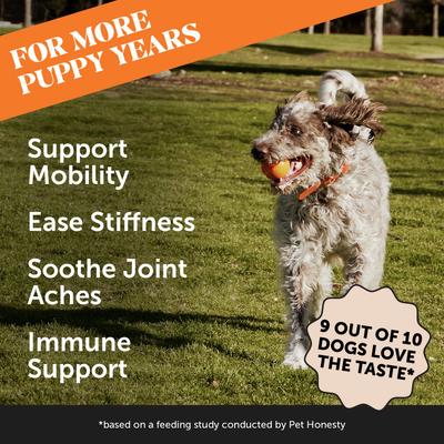 Hip + Joint Health Pumpkin & Coconut Soft Chew Glucosamine Chondroitin Supplement for Dogs, 90 count