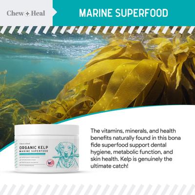 Organic Kelp Marine Superfood Granules Dental Supplement for Dogs, 4-oz jar