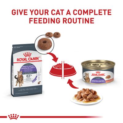 Feline Care Nutrition Appetite Control Care Thin Slices in Gravy Canned Cat Food, 3-oz, case of 24