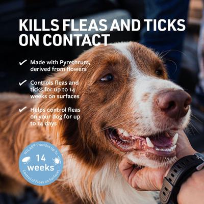 Flea & Tick Medicated Spray, 8-fl oz bottle