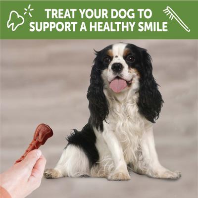 by Wellness Variety Box Dental Chews Natural Grain-Free Dental Dog Treats, Small, 56 count