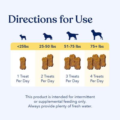 Beef Flavored Soft Chew Multivitamin for Dogs, 90 count