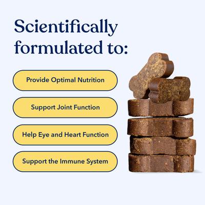 Beef Flavored Soft Chew Multivitamin for Dogs, 90 count