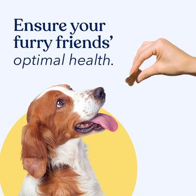 Beef Flavored Soft Chew Multivitamin for Dogs, 90 count