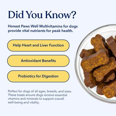 Beef Flavored Soft Chew Multivitamin for Dogs, 90 count