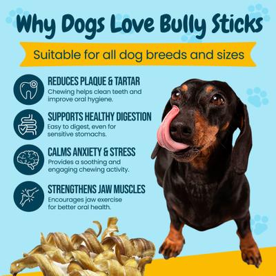 5 to 7-in Curly Bully Sticks Dog Treats, 6 count