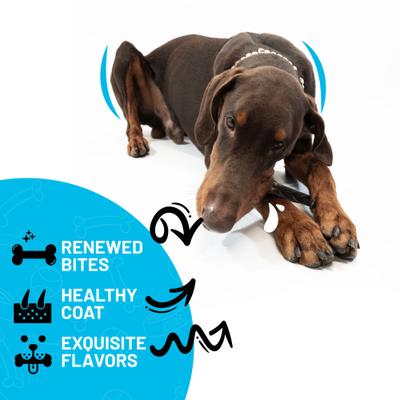 6-inch Collagen Braid Dog Natural Chew Treats, 6 count