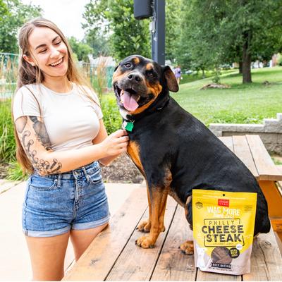 Wag More Bark Less Philly Cheesesteak Beef Recipe Grain-Free Jerky Dog Treats, 10-oz bag