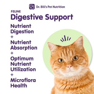 Feline Digestive Support Cat Supplement Powder, 60-gm pouch
