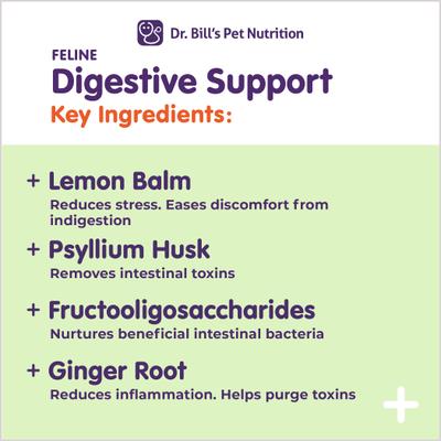 Feline Digestive Support Cat Supplement Powder, 60-gm pouch