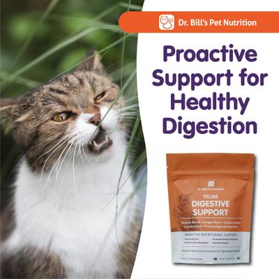 Feline Digestive Support Cat Supplement Powder, 60-gm pouch