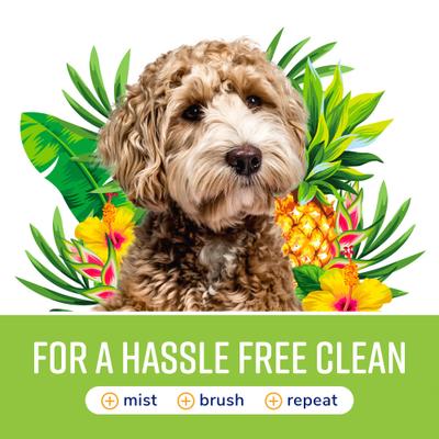 Fresh & Soothing Dog & Cat Deodorizing Spray, Tropical Breeze Scent, 8-fl oz bottle