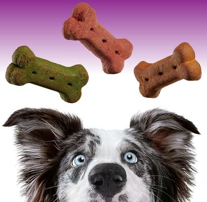 EnTrust Crunchers Assorted Crunchy Dog Treats, Medium, 3.5-lb bag