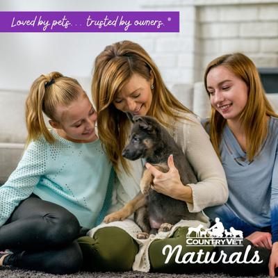 28/18 Healthy Puppy Dog Food, 1-lb bag