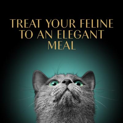 Gravy Indulgence Chicken & Beef in Extra Gravy Variety Pack Grain-Free Adult Wet Cat Food, 2.64-oz tray, case of 24