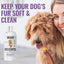 4-in-1 Dog Shampoo Lavender Scent, 16-fl oz bottle