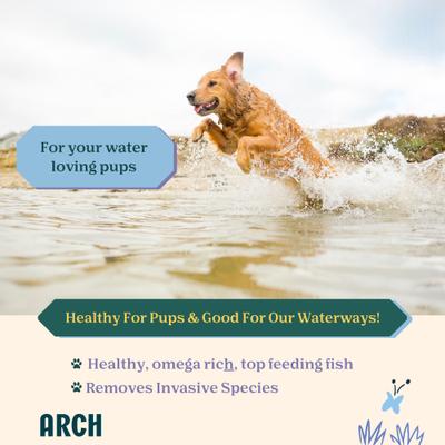 Arch Single Ingredient Sustainable Fish Dehydrated Dog Treats, 2-oz bag