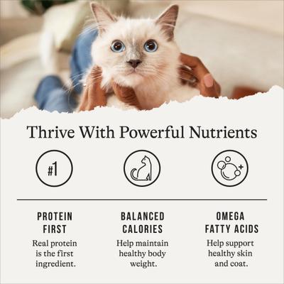 Indoor Pate Chicken Recipe Grain-Free Canned Cat Food, 5.5-oz, case of 24