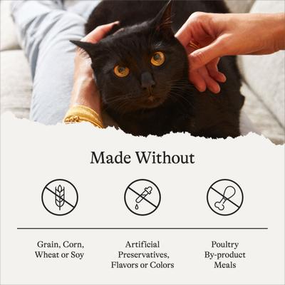 Indoor Pate Chicken Recipe Grain-Free Canned Cat Food, 5.5-oz, case of 24