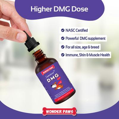 DMG Support Immune Health Performance Liquid Supplement for Dogs, 4-fl oz bottle