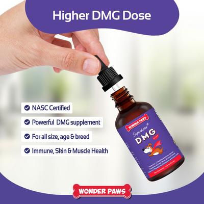 DMG Support Immune Health Performance Liquid Supplement for Dogs, 4-fl oz bottle