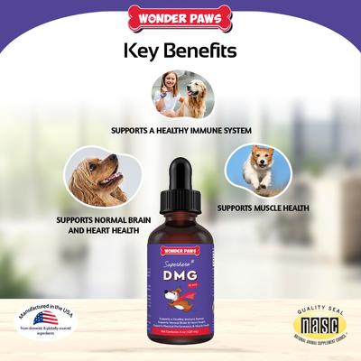 DMG Support Immune Health Performance Liquid Supplement for Dogs, 4-fl oz bottle