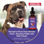 DMG Support Immune Health Performance Liquid Supplement for Dogs, 4-fl oz bottle