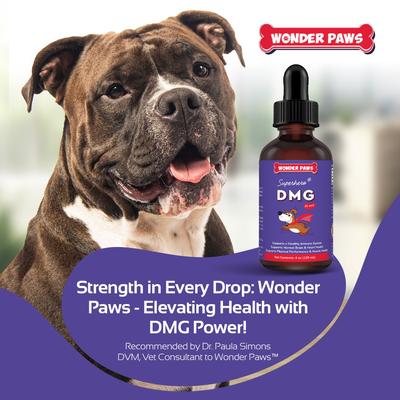 DMG Support Immune Health Performance Liquid Supplement for Dogs, 4-fl oz bottle