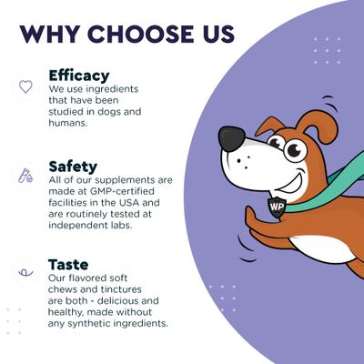 DMG Support Immune Health Performance Liquid Supplement for Dogs, 4-fl oz bottle