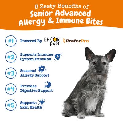 Bocados masticables blandos con sabor a salmón Advanced Allergy & Immune Bites para alergias, sistema inmunitario y piel, suplemento para perros mayores (180 unidades)