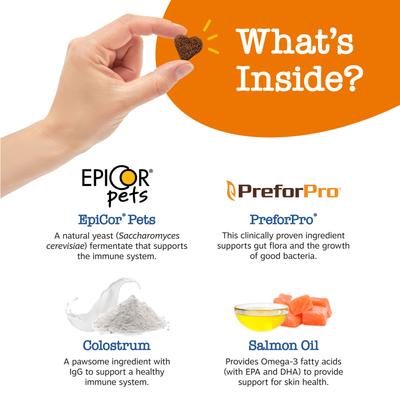 Advanced Allergy & Immune Bites Salmon Flavored Soft Chews Allergies, Immune, & Skin Support Supplement for Senior Dogs, 180 count