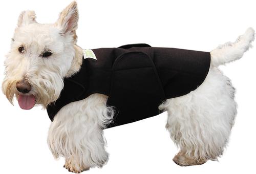 Anxiety Vest for Dogs, Large, Front Module