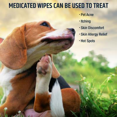 Chlorhexidine Antiseptic Wipes for Dogs & Cats, 50 count