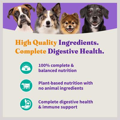 Paquete: Comida enlatada Halo Holistic Garden of Vegan Recipe, 13 oz, caja de 12 + Comida seca para perros vegana Complete Digestive Health Plant-Based Recipe con algas marinas, bolsa de 21 lb