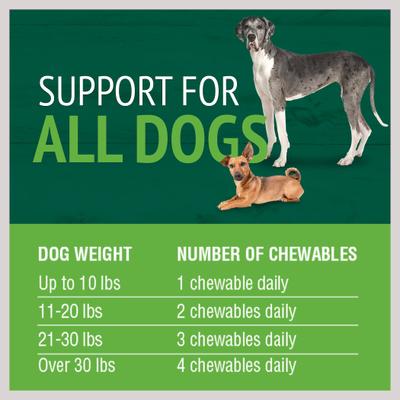 Brewers Yeast Dog Supplement, 250 count