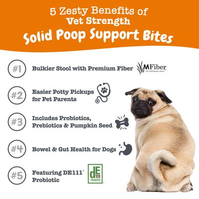 Vet Strength Solid Poop Support Bites Chicken Flavored Soft Chew Digestive Stool Kidney Supplement for Dogs, 90 Count