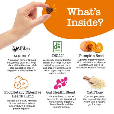 Vet Strength Solid Poop Support Bites Chicken Flavored Soft Chew Digestive Stool Kidney Supplement for Dogs, 90 Count