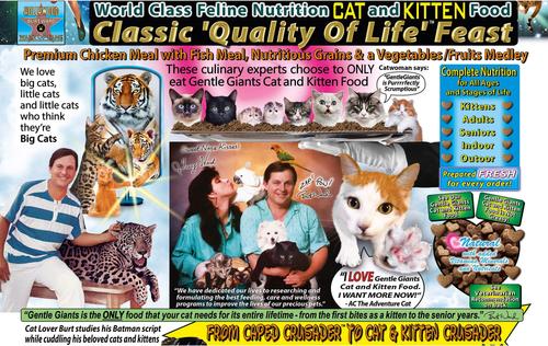 Natural Non-GMO Chicken & Fish Cat & Kitten Dry Cat Food, 9-lb bag